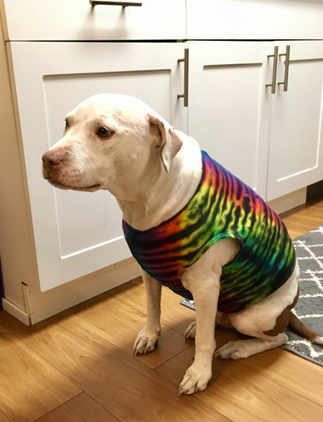 Doggie Rainbow Striped Tie-Dyed Tank, M